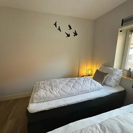 Hoevelieshout - Lux 4 Persoons Platteland * ヴェールト