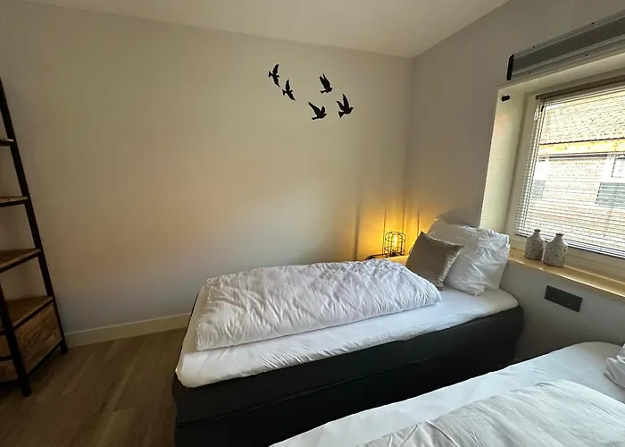 Hoevelieshout - Lux 4 Persoons Platteland * Weert